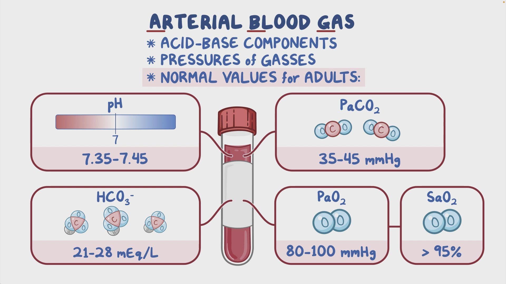 Газовий склад крові: навіщо це знати